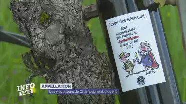 Les viticulteurs de Champagne abdiquent