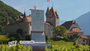 Le Chablais prêt à relancer ses vins