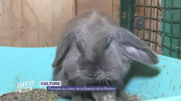 Immersion dans la Maison de la Rivière