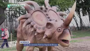 Un air de Jurassic Park au Signal de Bougy