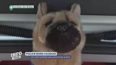 Des peluches pour réconforter lors d&#039;interventions de police