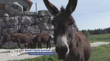 Les buvettes d&#039;alpages rouvrent gentiment