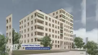 Le bois prend de la hauteur