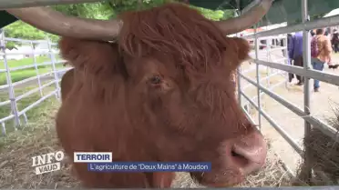 Moudon à l&#039;heure du bio
