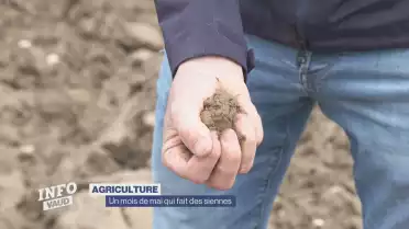 Agriculture : un mois de mai qui fait des siennes