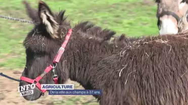 De la ville aux champs à 37 ans