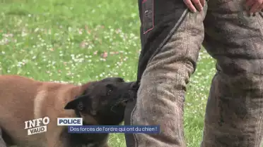 Des forces de l&#039;ordre qui ont du chien !