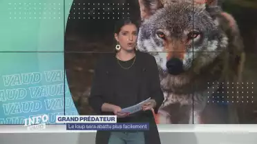 Le loup sera abattu plus facilement