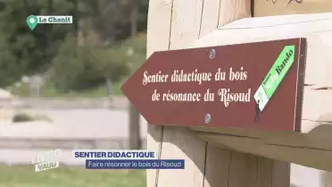 Un sentier didactique pour faire résonner le bois du Risoud