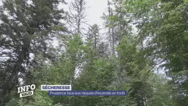 La prudence est de mise face au risque d&#039;incendie en forêt