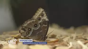 Journal du 3 juillet 2023