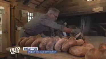 Du pain tout juste sorti du four