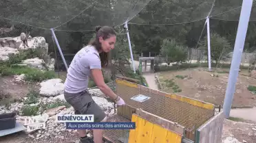 Des bénévoles aux petits soins des animaux