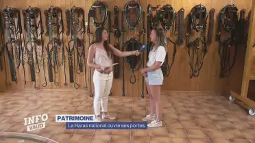Journal du 15 août 2023