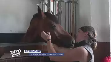 La Haras national ouvre ses portes