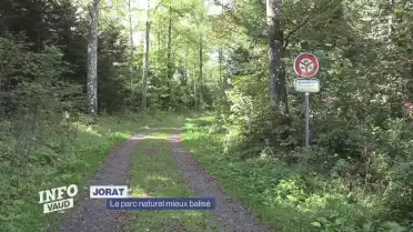 Nouvelles consignes pour les visiteurs des forêts du Jorat