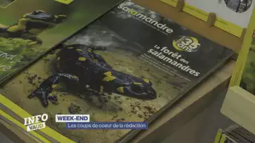 Agenda : les coups de coeur de la rédaction