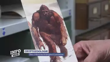 La plus grande collection de cryptozoologie à Lausanne