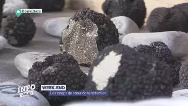 Agenda : les coups de cœur de la rédaction