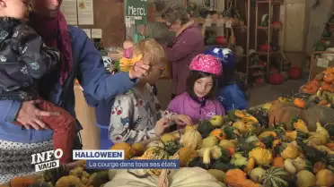 La courge dans tous ses états