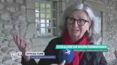 Les vigneronnes en lumière