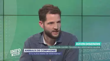 Il n&#039;y a plus assez de vétérinaires !