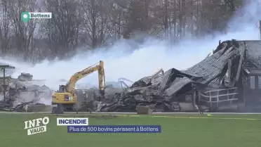 Plus de 500 bovins périssent dans un incendie à Bottens