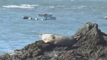 Forever de Walter Frosch