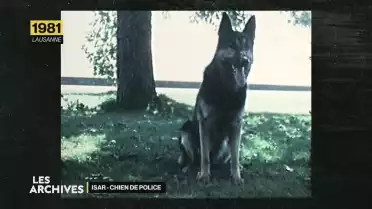 Les Archives - Isar, le chien policier