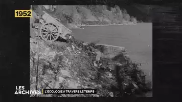 Les Archives - L&#039;écologie à travers le temps