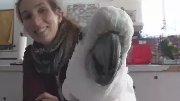 Présenté par Lolita Morena