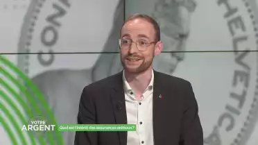 Quel est l&#039;intérêt des assurances animaux ?