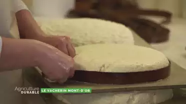 Zoom sur le Vacherin Mont-d&#039;Or