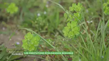 Dossier du mois - Les prestations écologiques requises