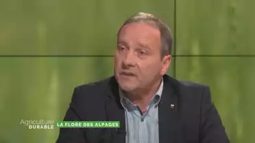 La flore des alpages
