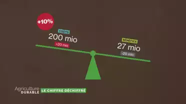 Le chiffre déchiffré - Les marges de la grande distribution