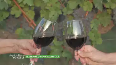 Les Caves Ouvertes Vaudoises