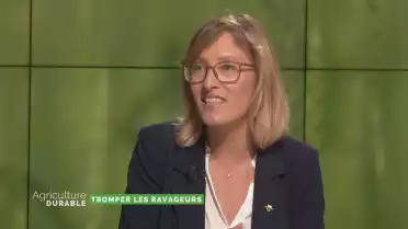 Tromper les ravageurs