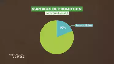 Le chiffre déchiffré - Surfaces agricoles et biodiversité