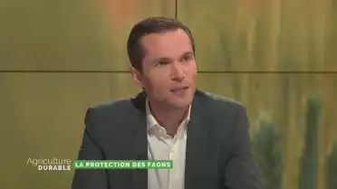 La protection des faons