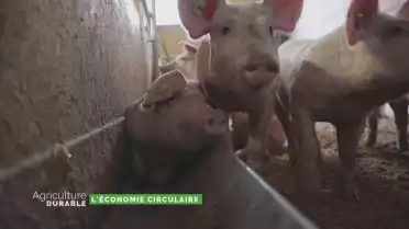 Dossier du mois - L&#039;économie circulaire