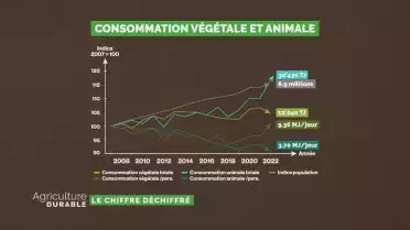 Le chiffre déchiffré - Évolution des habitudes alimentaires