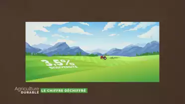 Le chiffre déchiffré - Biodiversité et risques