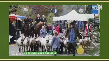 La Foire de Brent