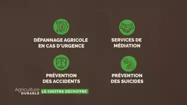 Le chiffre déchiffré - Rationalisation de l&#039;agriculture