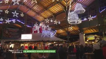Les marchés de Noël
