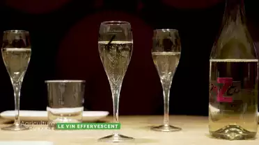 Zoom sur le vin effervescent