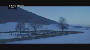 Les sorties ciné du 7 février 2024
