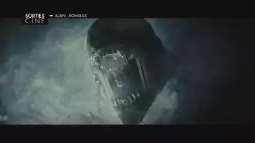 Les sorties ciné du 14 août 2024