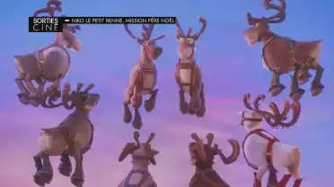 Les sorties ciné du 4 décembre 2024